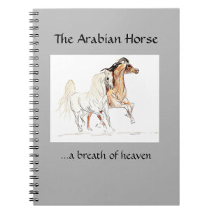 Arabian Horse Notebook Notitieboek