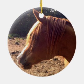 Arabian Horse Ornament