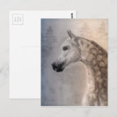 Arabian Horse Postcard Briefkaart (Voorkant / Achterkant)