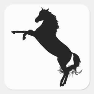 Arabian Horse Silhouette Vierkante Sticker