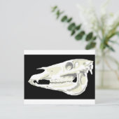 Arabian Horse Skull Briefkaart (Staand voorkant)