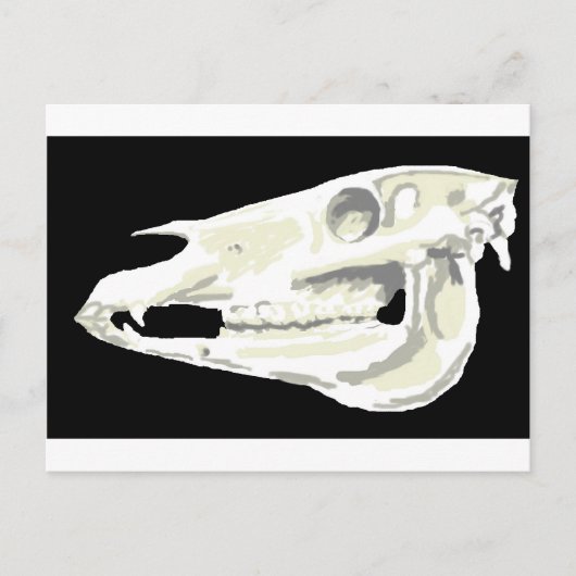 Arabian Horse Skull Briefkaart (Voorkant)
