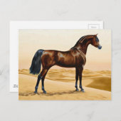Arabian Horse - William Barraud Briefkaart (Voorkant / Achterkant)