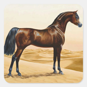 Arabian Horse - William Barraud Vierkante Sticker