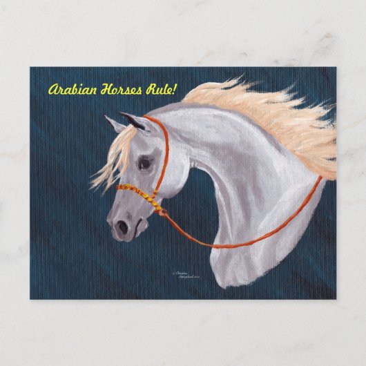Arabian Horses Rule Briefkaart (Voorkant)