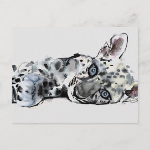 Arabian Leopard Cub 2008 Briefkaart