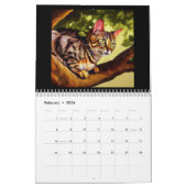 Arabian Mau Cat Kalender (Feb 2026)