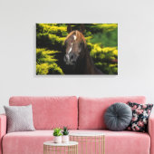 Arabian Stallion Canvas Afdruk (Insitu (Woonkamer))