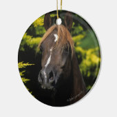 Arabian Stallion Keramisch Ornament (Links)