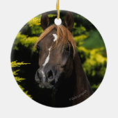 Arabian Stallion Keramisch Ornament (Achterkant)