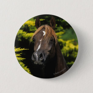 Arabian Stallion Ronde Button 5,7 Cm