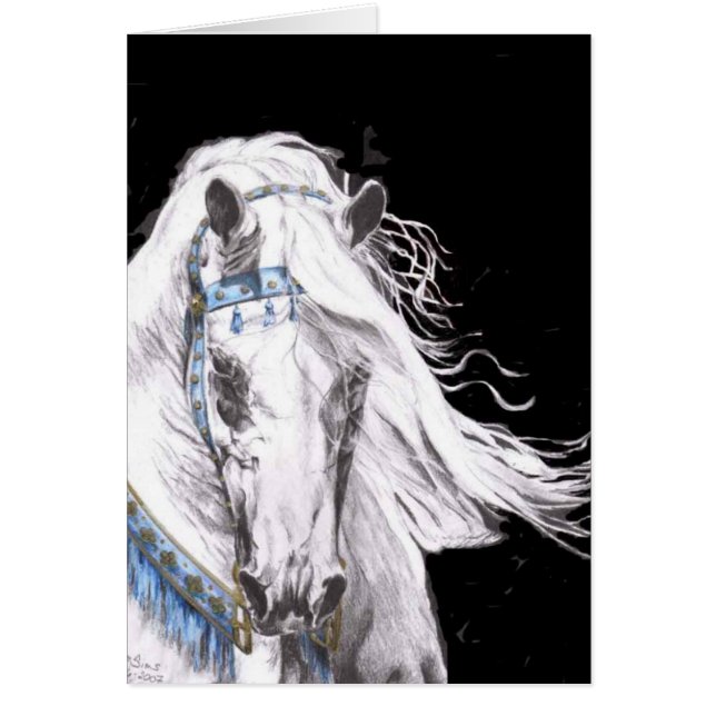 "Arabian White" (Voorkant)