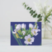 Arabidopsis Thaliana Flower Briefkaart (Staand voorkant)