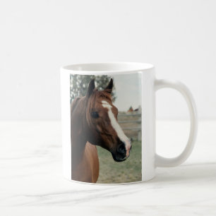 Arabier bij Weiland Koffiemok