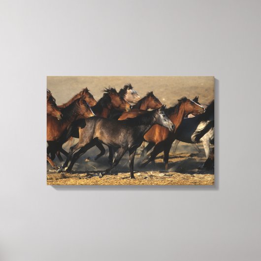 Arabieren die in de woestijn lopen canvas afdruk (Voorkant)