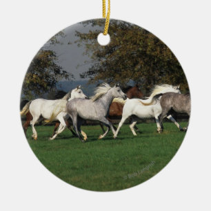 Arabieren die in het veld lopen keramisch ornament