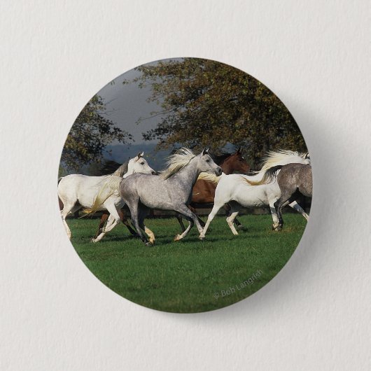 Arabieren die in het veld lopen ronde button 5,7 cm (Voorkant)