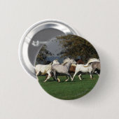 Arabieren die in het veld lopen ronde button 5,7 cm (Voorkant /achterkant)