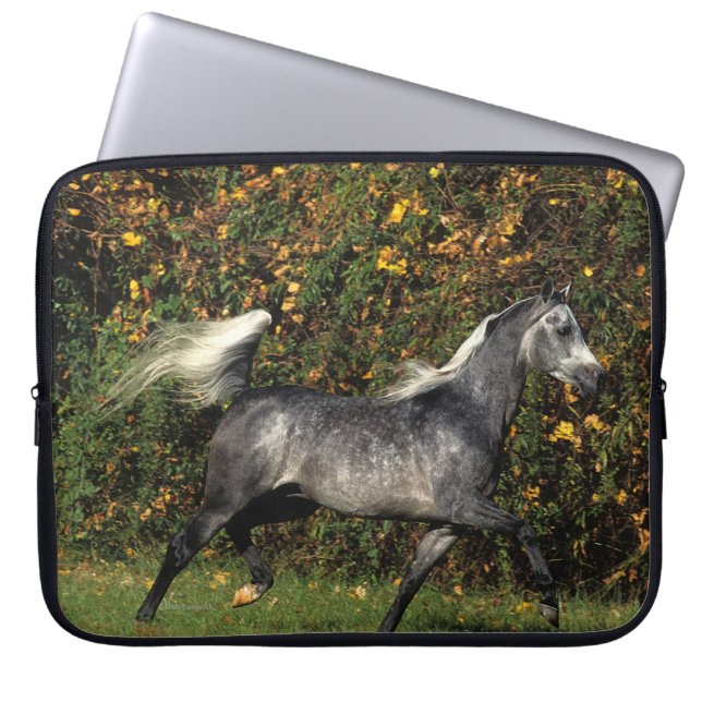 Arabieren die lopen: herfst laptop sleeve (Voorkant)