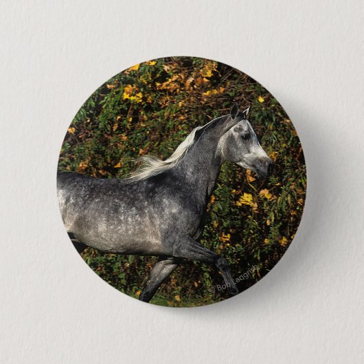 Arabieren die lopen: herfst ronde button 5,7 cm (Voorkant)