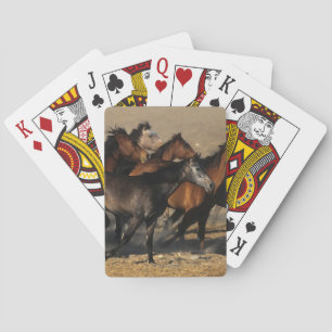 Arabieren in de woestijn pokerkaarten