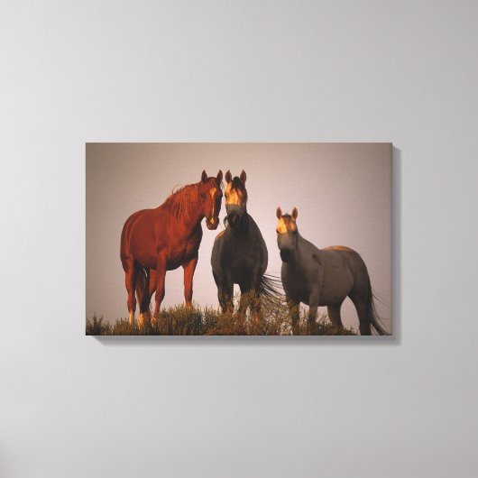 Arabieren op zonsondergang canvas afdruk (Voorkant)