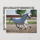 Arabisch 1 briefkaart (Voorkant / Achterkant)