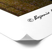 Arabisch Archades Poster (Hoek)