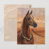 Arabisch briefkaart van de Egyptische prinses (Voorkant / Achterkant)