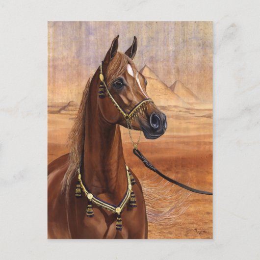 Arabisch briefkaart van de Egyptische prinses (Voorkant)
