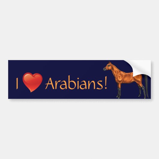 Arabisch Bumpersticker (Voorkant)