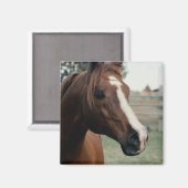 Arabisch in pasta magneet (Voorkant / Achterkant)