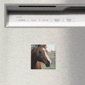 Arabisch in pasta magneet (Insitu (Vaatwasser))