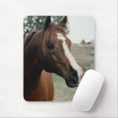 Arabisch in pasta muismat (Met muis)