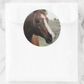 Arabisch in pasta ronde sticker (Tas)