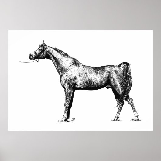 Arabisch in pen en inkt poster (Voorkant)