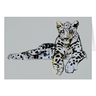 Arabisch luipaard 2008 7