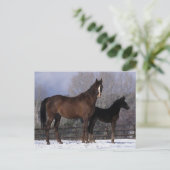 Arabisch Mare & Foal in sneeuw Briefkaart (Staand voorkant)