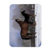 Arabisch Mare & Foal in sneeuw Magneet (Verticaal)