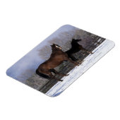 Arabisch Mare & Foal in sneeuw Magneet (Linkerzijde)