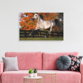 Arabisch paard: herfst 1 canvas afdruk (Insitu (Woonkamer))