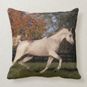 Arabisch Paard: Herfst 2 Kussen