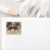 Arabisch Paard Label (Insitu)