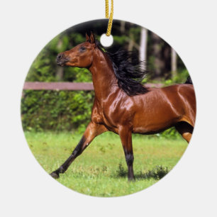 Arabisch paard met vlucht 2 keramisch ornament