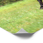 Arabisch paard met vlucht 2 poster (Hoek)