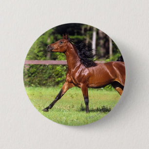 Arabisch paard met vlucht 2 ronde button 5,7 cm