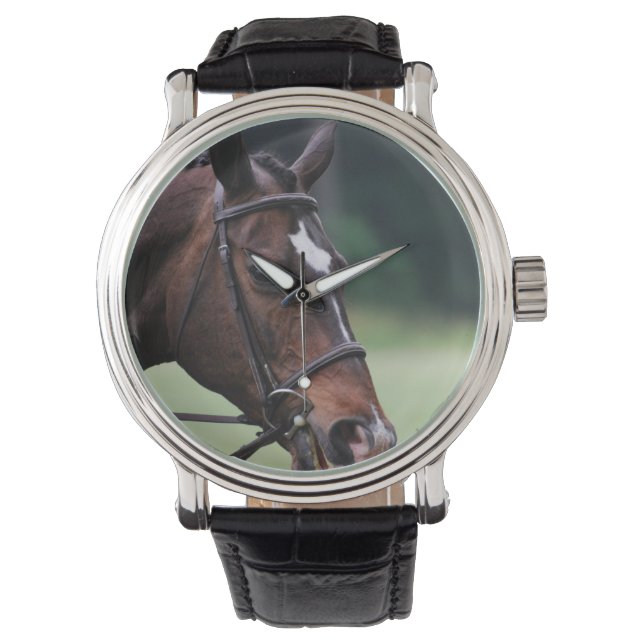 Arabisch paard met wit op gezicht horloge (Voorkant)