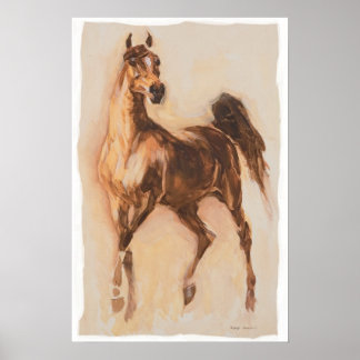 arabisch paard poster