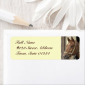 Arabisch Paard retour adreslabel Etiket (Insitu)