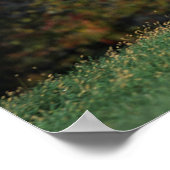 Arabisch paard rijdend in grijsveld poster (Hoek)